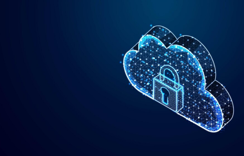 Cloud Network Security